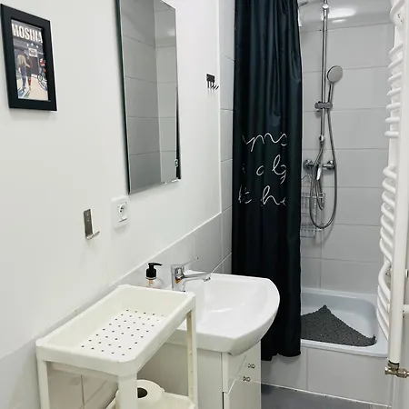 홈스테이 Noclegi Mosina *