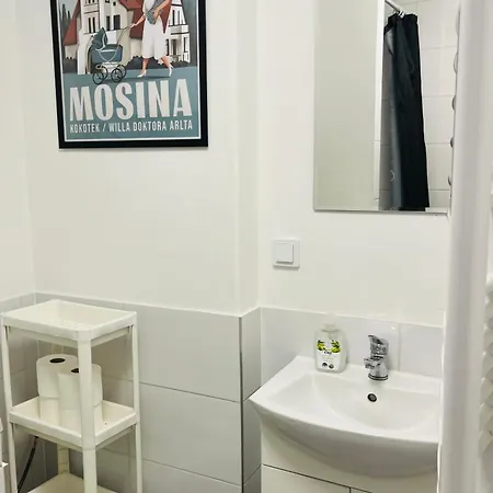 홈스테이 Noclegi Mosina