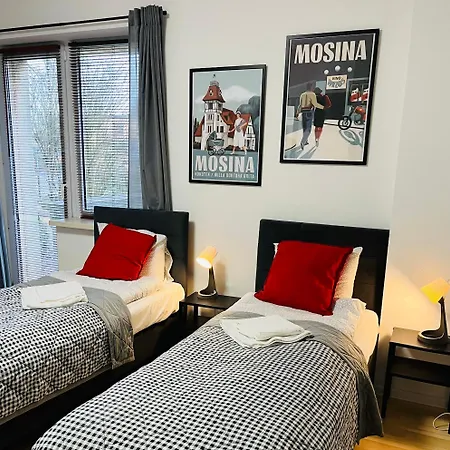 Noclegi Mosina 民宿