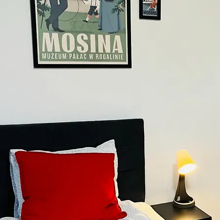 홈스테이 Noclegi Mosina *