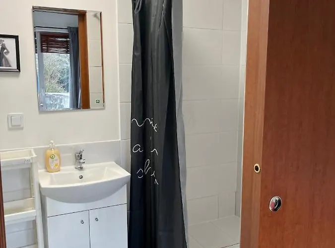 Noclegi Mosina 民宿