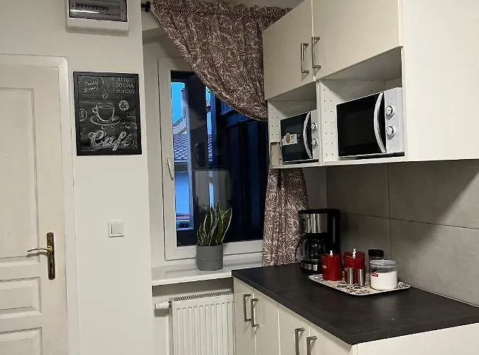 Noclegi Mosina 民宿 *