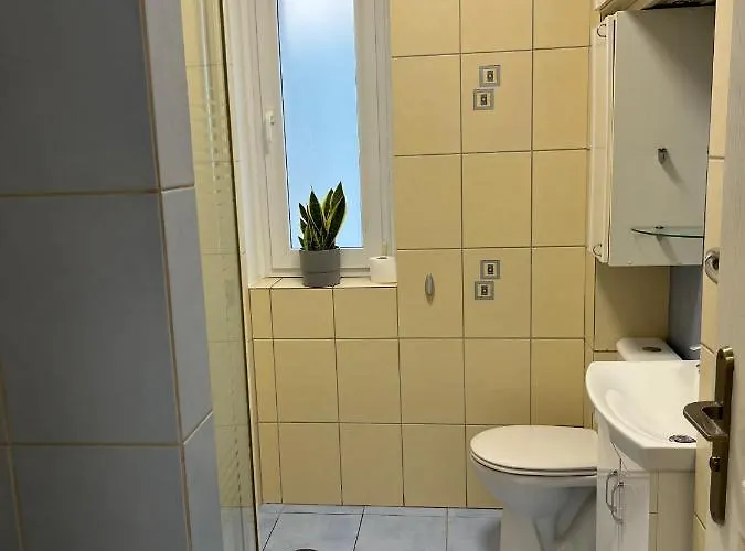 Noclegi Mosina Homestay *