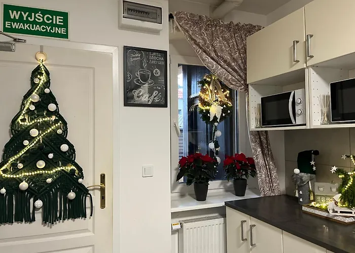 Noclegi Mosina 民宿 *