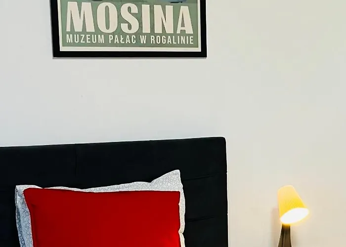 民宿 Noclegi Mosina *