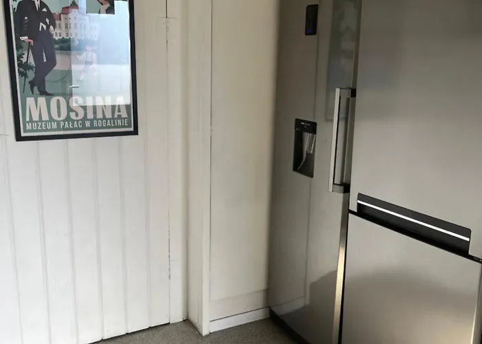 Noclegi Mosina 民宿 *